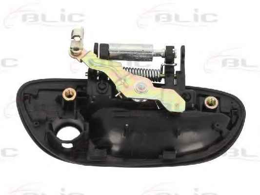 BLIC 6010-17-015401P