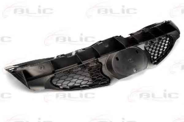 BLIC 6502-07-8101990P