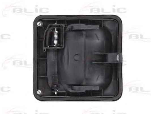 BLIC 6010-07-031403P