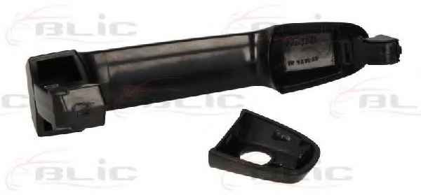 BLIC 6010-19-059401P