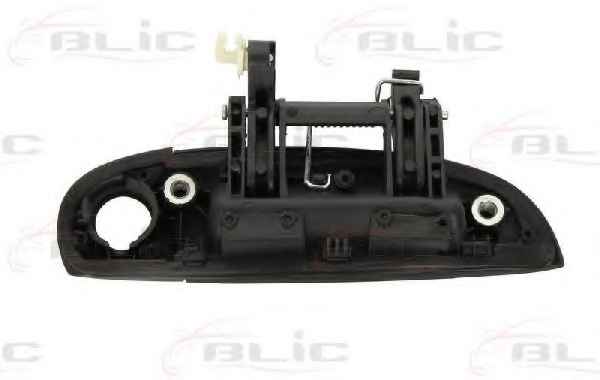 BLIC 6010-20-036401P