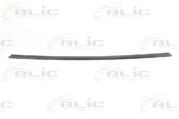 BLIC 5511-00-2029220P