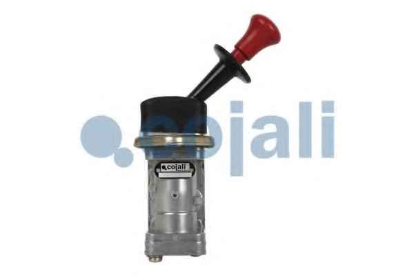 COJALI 2224305