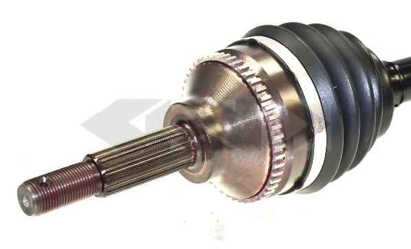 LOBRO 305671