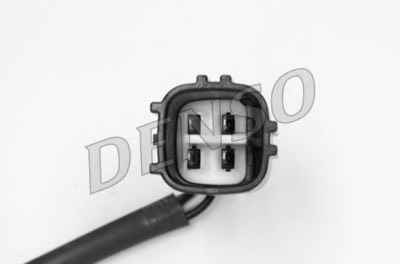 NPS DOX-0278
