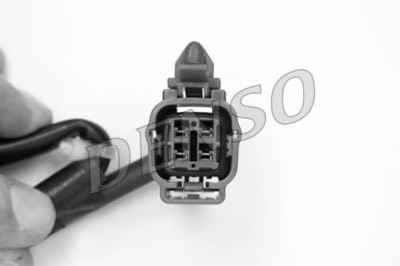 NPS DOX-0318