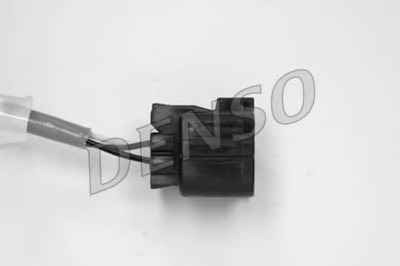 NPS DOX-0308