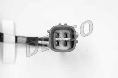 NPS DOX-0219