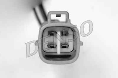NPS DOX-0248
