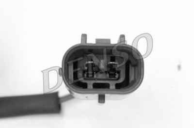 NPS DOX-0202