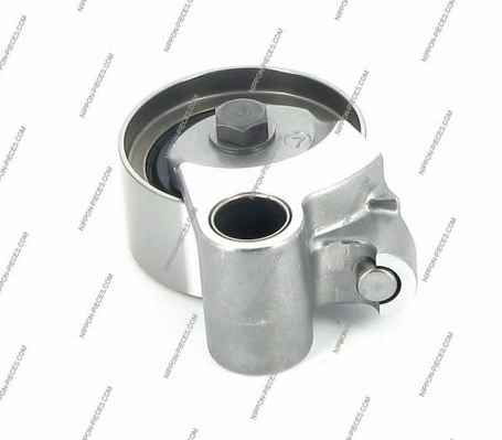 NPS T113A45