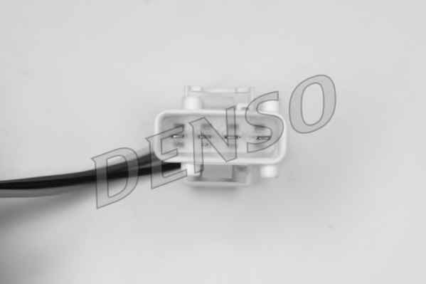 NPS DOX-2009