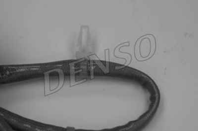 NPS DOX-0331