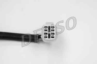 NPS DOX-0241