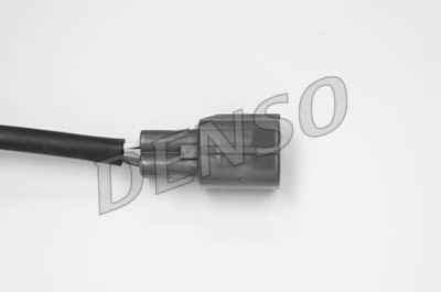 NPS DOX-0243