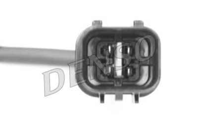 NPS DOX-0313
