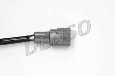 NPS DOX-0239