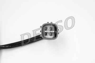 NPS DOX-0239