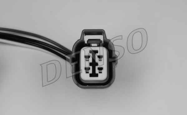 NPS DOX-2031