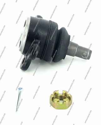 NPS D420O12