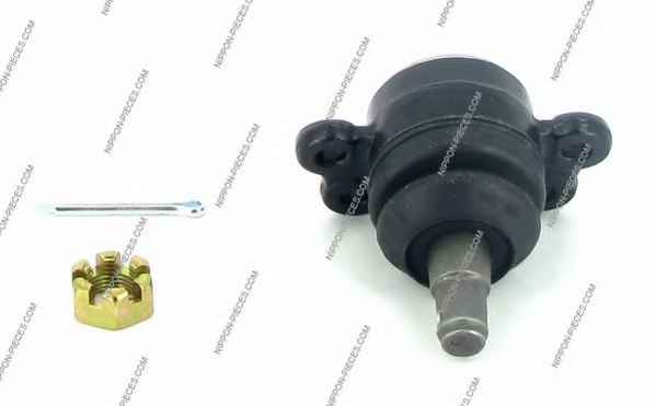 NPS D420O12