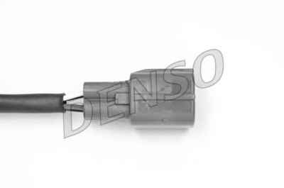 NPS DOX-0244