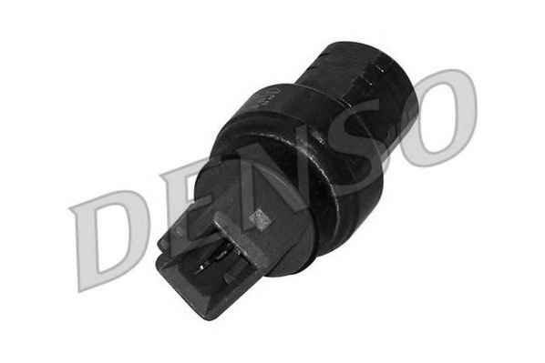 NPS DPS33009