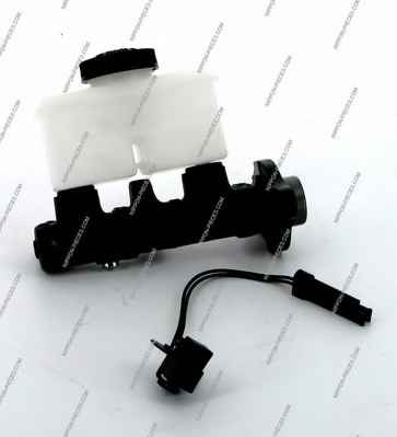 NPS M310A29