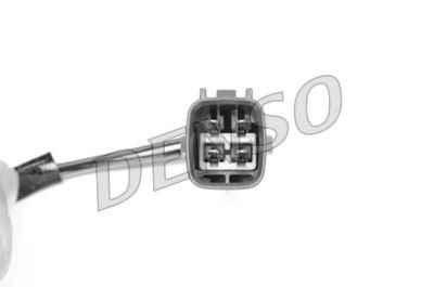 NPS DOX-0273