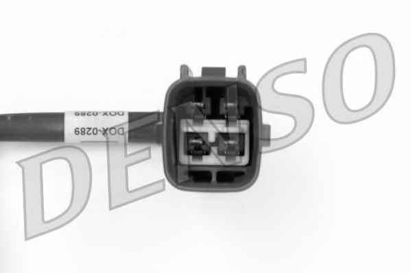NPS DOX-0289
