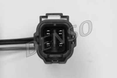 NPS DOX-0354
