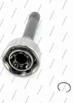 NPS T281A24