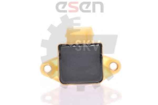 SKV GERMANY 17SKV009