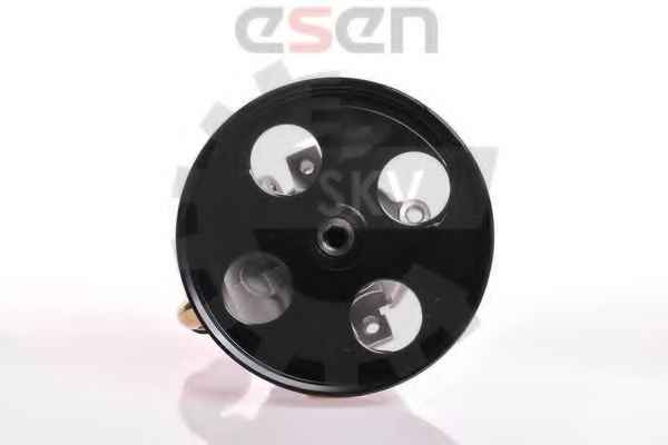 SKV GERMANY 10SKV155