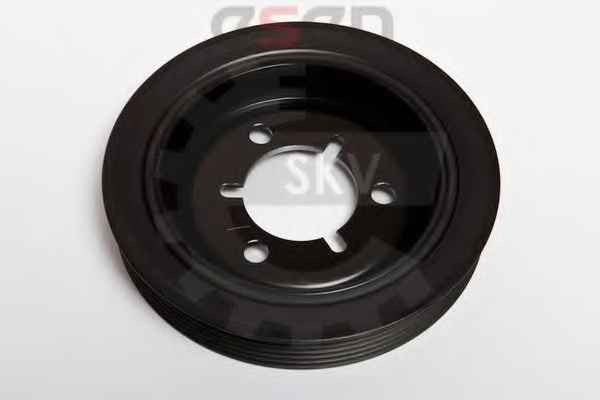 SKV GERMANY 95SKV310