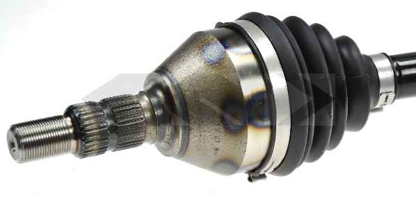 SPIDAN 24954