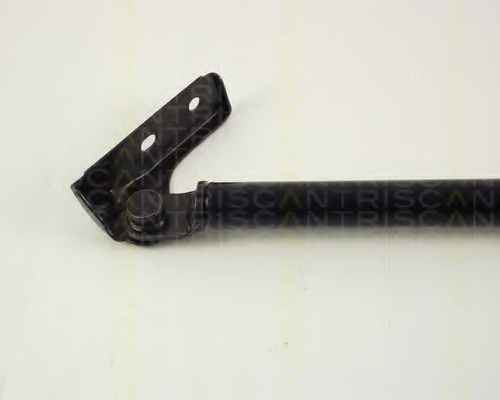 TRISCAN 8710 50216