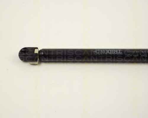 TRISCAN 8710 2801