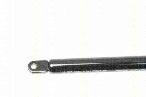 TRISCAN 8710 2005